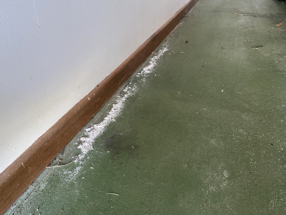 An existing floor coating that looks to be contaminated and suffering from moisture issues.